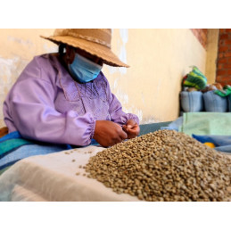 BOLIVIA - ANPROCA