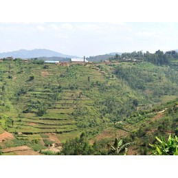 RUANDA GASEKE